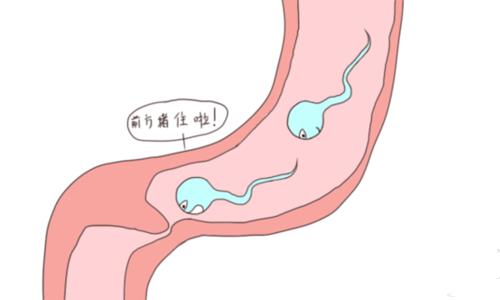  附睾炎怎么治疗？附睾炎治疗时间是多久？