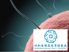齐齐哈尔男性患上少精症的原因有哪些