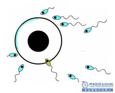 男性患了无精症的症状表现有哪些