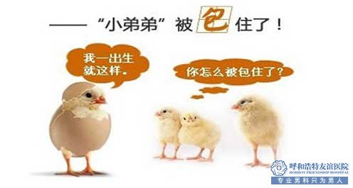 齐齐哈尔割包皮多少钱疼不疼